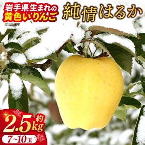 yӂ邳Ɣ[Łzs\ ʌ聚  ͂邩 u͂邩v2.5kg 茧Y  S ь  ͂邩 t[c  ʕ y~z (AI024)