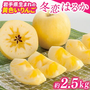 yӂ邳Ɣ[Łzs\ ʌ聚  ͂邩 u~͂邩vx15xȏ ۏ t[c 2.5kg  ~  ͂邩  ь ʌ s[^y~