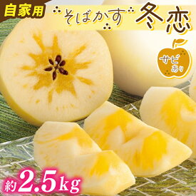 【ふるさと納税】★レビューキャンペーン開催中★ りんご フルーツ「そばかす 冬恋」 岩手県産 ブランド 冬恋 りんご はるか 糖度15度以上 林檎 高級フルーツ 自家用 サビ有 訳あり はるか 約2.5kg【冬恋研究会】(AI023)
