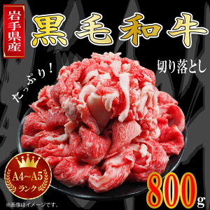 yӂ邳Ɣ[Łz  ؂藎Ƃ Ă Ԑg a4 Y a јa  Ⓚy茧Yјaz؂藎Ƃ800giA4`A5NjiAA005j