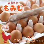  卵 玉子 鶏卵 【純国産鶏もみじ】 ふるさと納税 たまご 平飼い卵25個入り（AJ005-1）