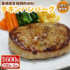 【ふるさと納税】＼選べる容量 5枚 or 10枚／国産 親鶏の旨味たっぷり チキンハンバーグ 1枚約120g 小分け 冷凍 簡単調理 餌にこだわった 親鶏肉使用 浅沼養鶏場 ハンバーグ チキン メンチ カツ BBQ 産地直送　(AJ017 | AJ018)