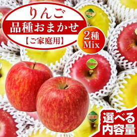 【ふるさと納税】【ご家庭用】りんご 品種おまかせ 2種Mix 【選べる内容量】3kg 5kg リンゴ 林檎 果物 フルーツ 岩手 詰め合わせ 詰合せ くだもの 旬 ワケアリ 訳あり 先行予約 特別栽培