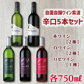 【ふるさと納税】 自園自醸ワイン紫波辛口5本セット ふるさと納税 ワイン （AL035）