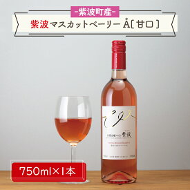 【ふるさと納税】産地限定 ワインぶどう品種使用 紫波マスカットベーリーA[甘口] ふるさと納税 紫波町産 テロワール ワイン （AL061-2）