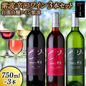 【ふるさと納税】 紫波辛口ワイン3本セット【メルロー・メルローロゼ・リースリングリオン】(AL085)