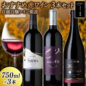 【ふるさと納税】 おすすめ赤ワイン3本セット【マスカットベーリーA樽熟成・プレミアムメルロー・メルロー】 (AL089)