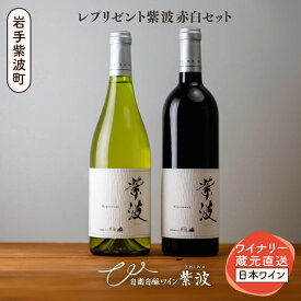 【ふるさと納税】 レプリゼント紫波 紅白2本セット ワイン 辛口 赤 白 ブドウ 国産ワイン 自園自醸ワイン 日本ワイン (AL105)