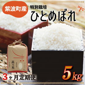 【ふるさと納税】【選べる定期便】ひとめぼれ 5kg 1回 3ヵ月 6ヶ月 12ヶ月【特別栽培米】 岩手県 紫波町産 （AC017）