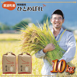 yӂ邳Ɣ[Łzߘa7NY ЂƂ߂ڂ  10kgyrT ʍ͔|āz_Iׂ z^ ߂Ă   茧 gY (AC023)