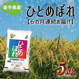 【ふるさと納税】 定期便 5kg 令和5年産 白米【毎月連続お届け】 ふるさと納税 米 岩手県 ひとめぼれ 岩手県産 ひとめぼれ 5kg（AE133）（AE134）（AE102）