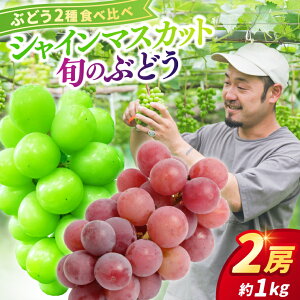 yӂ邳Ɣ[Łz _ʌ ݌ɂ킸^ y9{\zuԂǂ Hה 2[i1kgj{̂Ԃǂ  VC}XJbgv Ԃǂ Hה Zbg A\[g  sI[l  