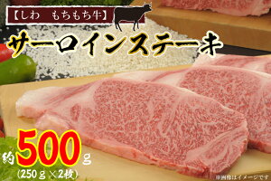 yӂ邳Ɣ[Łzy@zT[CXe[L500gi250g×2jiAM002-1j