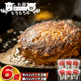 【ふるさと納税】＼オリジナルソース付き／ 黒毛和種 しわ もちもち牛入りハンバーグ 3個 しわ豚ハンバーグ 3個 食べ比べセット (合計6個) (AM013)