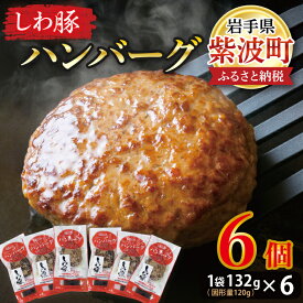 【ふるさと納税】 無添加「【しわ豚】ハンバーグ6個 」（AM005-2）