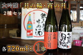 【ふるさと納税】日本酒 飲み比べセット ギフト 【月の輪】大吟醸2種セット（AW007-1）