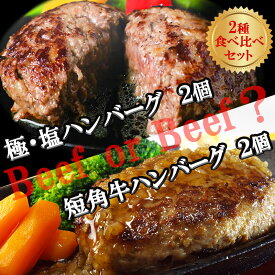 【ふるさと納税】『極・塩ハンバーグ前沢牛100％』140g×2個と『短角牛ハンバーグ』150g×2個ビーフ100％ハンバーグの食べ比べセット　計4個/肉 高級 牛 牛肉 和牛 前沢牛 奥州 ブランド牛 短角牛 国産牛 個包装 冷凍 アミノ酸 イノシン酸 おすすめ 送料無料 ギフト 贈答