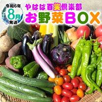 楽天市場】【ふるさと納税】数量限定 矢巾町産 夏野菜セット【10種】8 