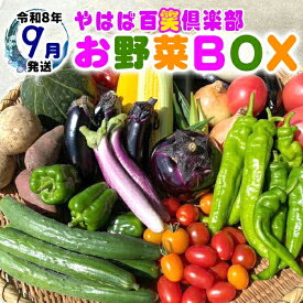 【ふるさと納税】数量限定　矢巾町産　秋野菜セット【10種】9月発送/産地直送 野菜セット 約10品目 新鮮 旬 野菜 やさい きゅうり ナス ピーマン 玉ねぎ りんご じゃがいも トマト キャベツ にんじん 枝豆 ネギ 詰め合わせ お取り寄せ おまかせ おすすめ 岩手県 矢巾町