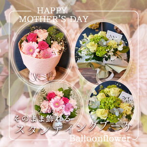 yӂ邳Ɣ[Łzy̓ẑ܂܏@X^fBOu[P