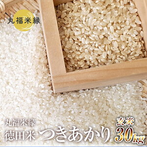 yӂ邳Ɣ[Łẑ悤ɋPʂȈV@cā@茺ā@30kg