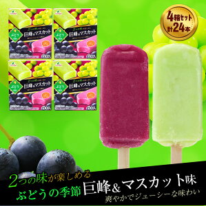 �y�ӂ邳�Ɣ[�Łz�t�^�o�H�i�@�Ԃǂ��̋G�� 4���Z�b�g�@4���Z�b�g�@�v24�{