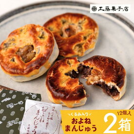 【ふるさと納税】＼72時間にて紹介／およねまんじゅう（12個×2箱） 岩手県西和賀町 にしわが 工藤菓子店　和菓子