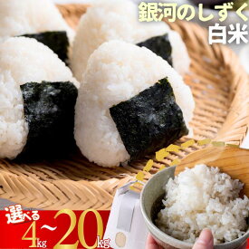 【ふるさと納税】【受付12月26日まで】ユキノチカラ米　銀河のしずく　白米　4kg 5kg 8kg 10kg　岩手県西和賀町