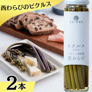 yӂ邳Ɣ[ŁzLm`JuуsNXv2{Zbg@茧a꒬@Hi@