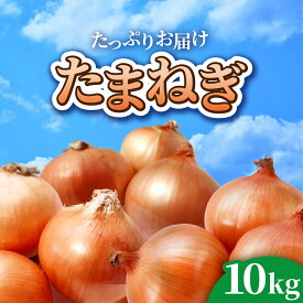 【ふるさと納税】玉ねぎ 10kg 訳あり 10kg 令和7年7月〜9月発送 ( M〜L サイズ不揃い 28個程度) 新鮮 生食 常温 人気 ランキング 玉ねぎ 玉ネギ バラバラ 皮剥け 10キロ タマネギ 玉葱 オニオン 国産 サラダ おすすめ 野菜 甘い 岩手県 金ケ崎町 送料無料