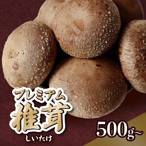 yӂ邳Ɣ[Łz ő Y ۏ v~A 500g 1kg 2kg ő   ̂ o`     茧 茧Y P P蒬 P蒬Y V