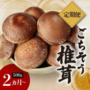 yӂ邳Ɣ[Łz ő Y ۏ Ai 500g  ő   ̂ o`     茧 茧Y P P蒬 P蒬Y V