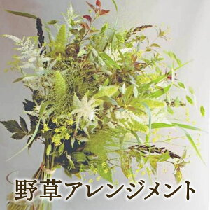 yӂ邳Ɣ[Łzqs\rZASSOvWFNg ԂfG߂̉ԑ  ϗtA K[fjO CeA 蕨 Mtg v[g