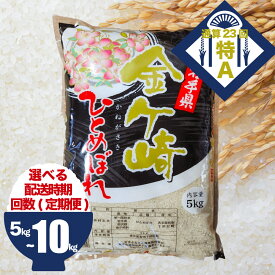 【ふるさと納税】（岩手ふるさと米）米 令和7年 ひとめぼれ 5kg 10kg 白米 精米 選べる ( 発送時期 / 単品 / 定期便 ) 小分け 5kg 袋 便利 岩手ふるさと米 お米 いわて 東北 コメ ブランド米 白飯 ごはん 炊飯 ランキング 国産 レトルト カレー 岩手県 送料無料 コスパ