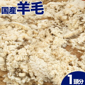 【ふるさと納税】早期予約 国産 羊毛（ 原毛一頭分 2〜3kg ）2026年4月以降発送 手紡ぎ 期間限定 数量限定