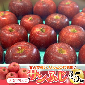 【ふるさと納税】人気No.1！りんご サンふじ 3kg 5kg 大文字りんご園 12月上旬～1月上旬より順次発送 / 蜜 蜜入り 国産 樹上完熟 幻のりんご 林檎 果物 くだもの フルーツ 産地直送 予約 送料無料