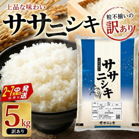 【ふるさと納税】 令和7年産 平泉町産 ササニシキ 白米 5kg〈訳あり〉 五ツ星お米マイスター厳選！ 直前精米 / こめ コメ 米 お米 おこめ 白米 ご飯 ごはん ライス
