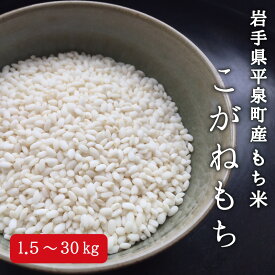 【ふるさと納税】 ＼容量が選べる／ 平泉町産 もち米 こがねもち 5kg 10kg 15kg 20kg 30kg / お餅 もちつき こめ おこめ 精米 白米 もち米 もちごめ 手作り お正月 元日 年末年始 ご飯 ごはん ライス ひとめぼれ 美味しい ふっくら 平泉CoMeeeeNs 【令和7年産】