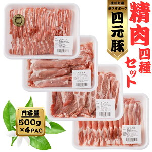 yӂ邳Ɣ[Łz肷|[NZbg[#0004_ari]