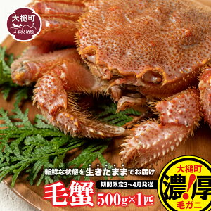 yӂ邳Ɣ[Łzyߘa8NzуKj 500g×1t`100t 2026N2`4 уKj т O OY  т уKj Ԍ I Jj Kj  I ъI O  O