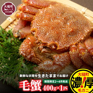 yӂ邳Ɣ[Łzyߘa8Nzт 400g×1t`100t 2026N2`4 уKj  уKj т Kj  I ъI O OY  I Jj Ă 䥂ł CN  