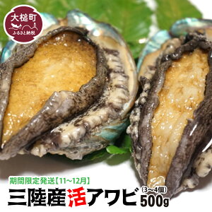 yӂ邳Ɣ[Łz OY Ar 500gi3`4) / 1kg ( 6`8)yԌ11`12zyzEjwsz