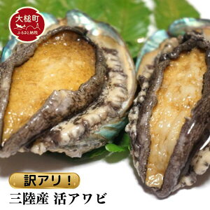 yӂ邳Ɣ[Łz󂠂聦 OY  Ar 500g(3`5) / 1kg (6`10) L NxQ  pɂǂ