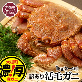 【ふるさと納税】【令和7年発送】※訳あり※ 活毛ガニ 1kg / 3kg 天然 毛蟹 冷蔵 発送 新鮮 活かに ≪ 2025年 2月～4月発送≫ 期間限定 岩手県大槌町 三陸 いわて iwate