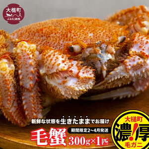yӂ邳Ɣ[Łzyߘa8NzуKj 300g×1t`100t 2026N2`4 VR ъI ①  VN  Ԍ 茧ƒ O  iwate