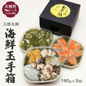 yӂ邳Ɣ[Łz O ʎ蔠 480g ( 160gO ×3i )  lC Ⓚ  Hׂ ϔ l ̂  Mtg C t  CN ǂԂ h ƃT[  
