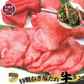 【ふるさと納税】 特製 ねぎ塩だれ 牛タン 500g (250g×2パック) 小分け