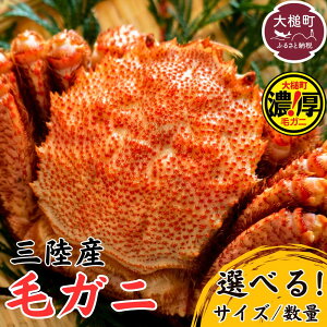 yӂ邳Ɣ[Łzyߘa8NzOY уKj 250g`500g IׂTCY/ʁy2026N3`4s\zт I Jj O Kj  I ъI CN  ɂ݂ ґ CN 