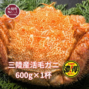 �y�ӂ邳�Ɣ[�Łz�ъI �� �уK�j 400g�`600g ����×1�t ( 1�� ) ��茧 ��ƒ� �т��� 2026�N 3�`4�� ���� ��s�\�� �① ���K�j ������ ���I �ъI ���� �C�Y�� �I �J�j ���� �O���Y 䥂ł� �C�N ���� 