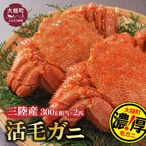 yӂ邳Ɣ[ŁzъI  уKj 300g ×2t ( 2 ) 茧 ƒ т 2026N 3`4  s\ ① Kj  I ъI  CY I Jj  OY 䥂ł CN  